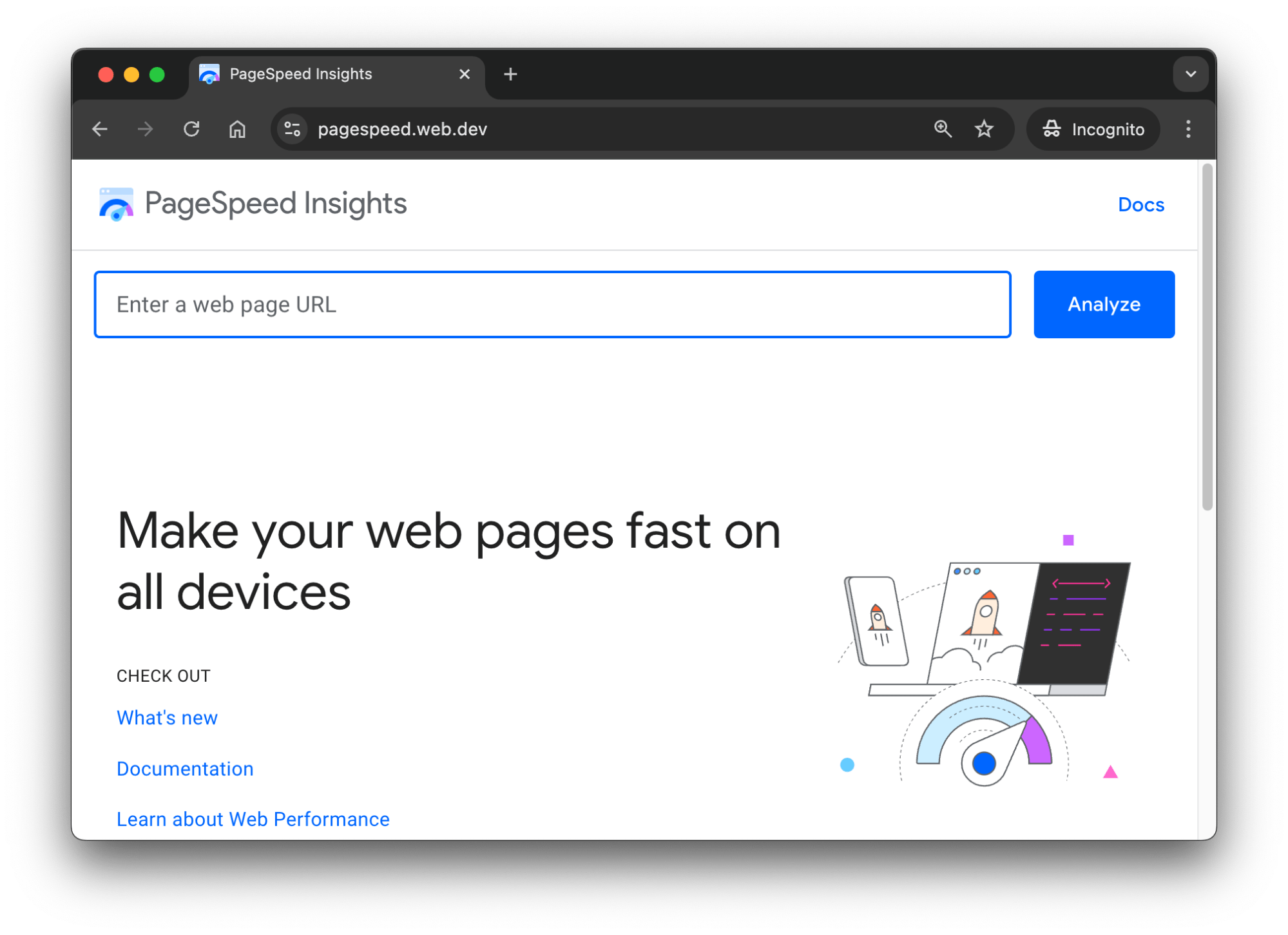 PageSpeed Insights 主页